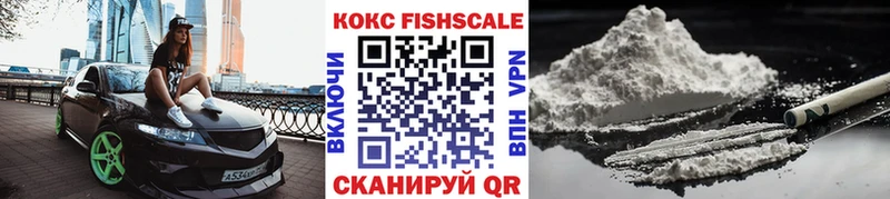 COCAIN Fish Scale  мега ссылки  Ижевск 