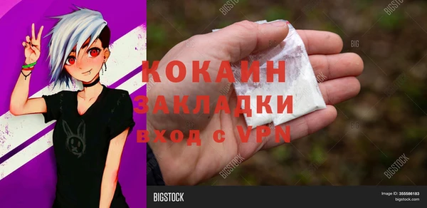 гашик Алексеевка