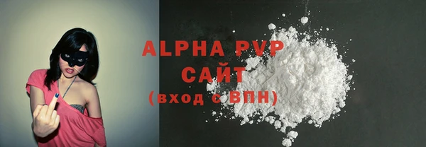 СК Алексин