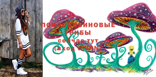 СК Алексин