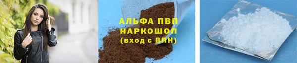 СК Алексин