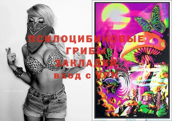 гашик Алексеевка