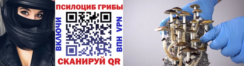 Псилоцибиновые грибы мицелий  Ижевск 